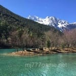 Avatar of Hina Tariq